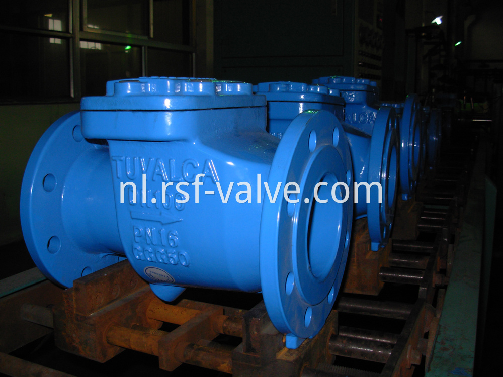 Rubber Capsuled Disc Swing Check Valve 1